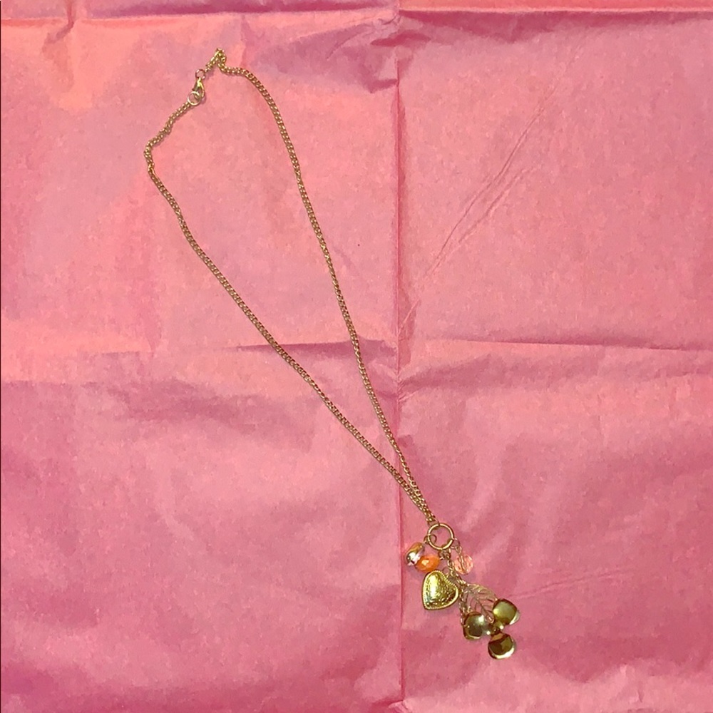 HP 🌈 Charlotte Russe Long Necklace